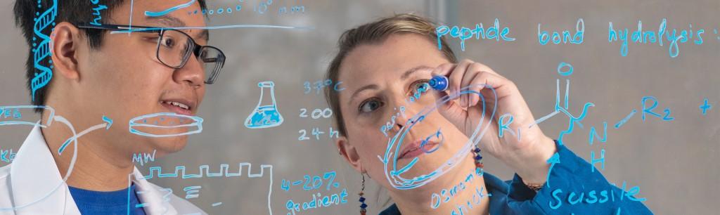 Eva Rose Balog writes chemistry formulas related to her research on plexiglass with UNE student Huy Ha observing.